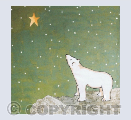 Snow Bear