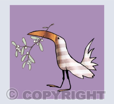 mistletoe bird