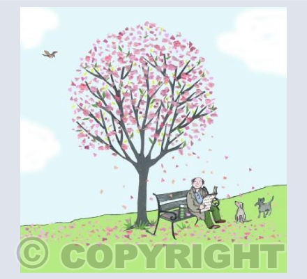 Blissful Blossom 