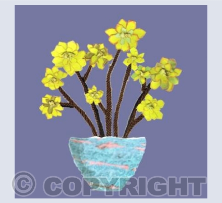 Oh Succulent!