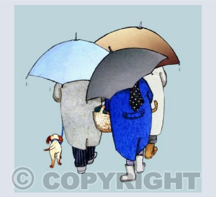 Umbrellas 