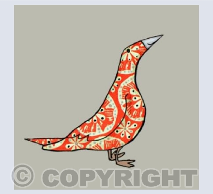 Orange Bird 