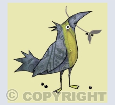 Greeny grey bird