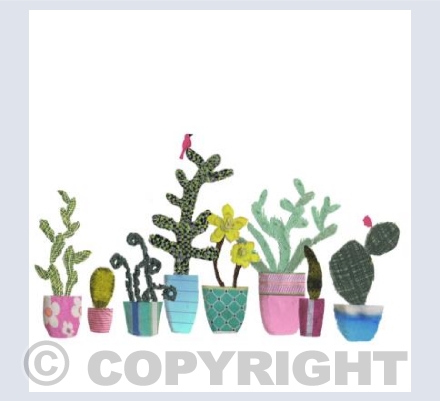 Cacti 