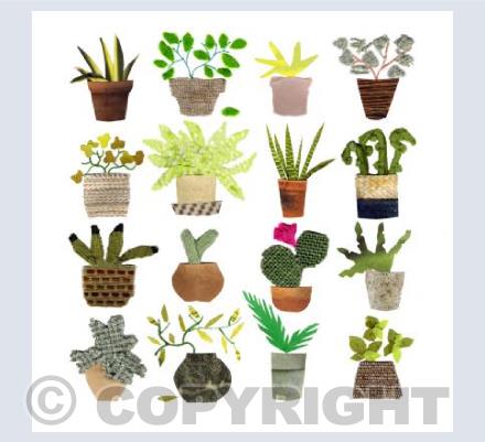 Potty Plants