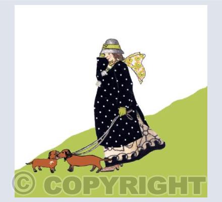 Dachshund Lady