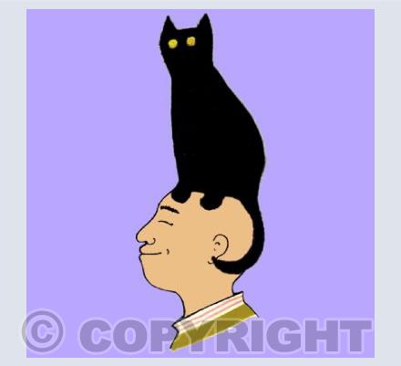 cat on head