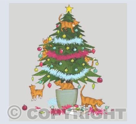Cats love Christmas