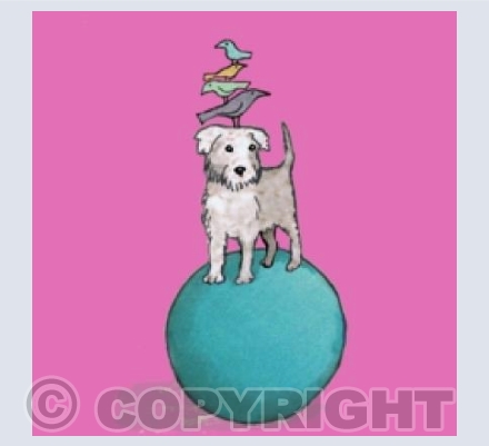 Dog on a ball 