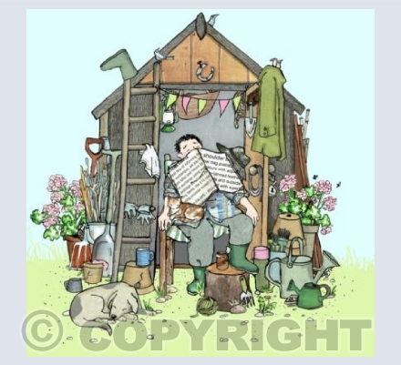 Shed Heaven 