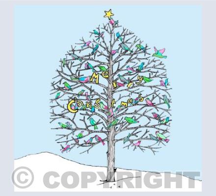 Christmas Birds
