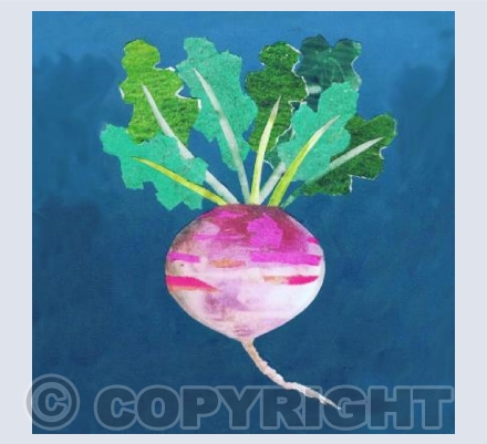 Turnip