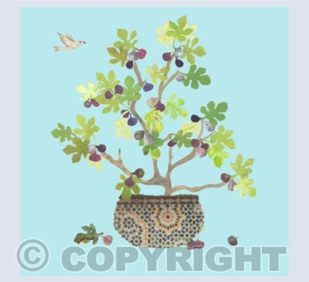 Fig Tree