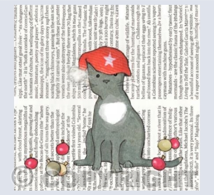 Santa Hat Cat
