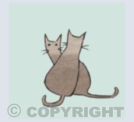 Grey Cats