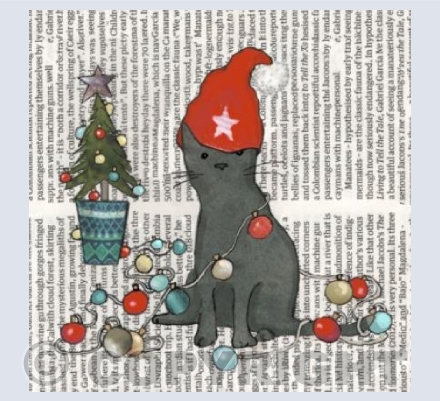 Santa hat cat