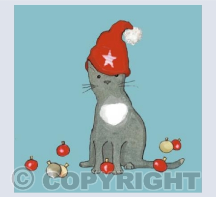 Santa hat cat blue