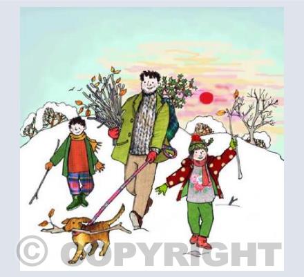 Wintry walk