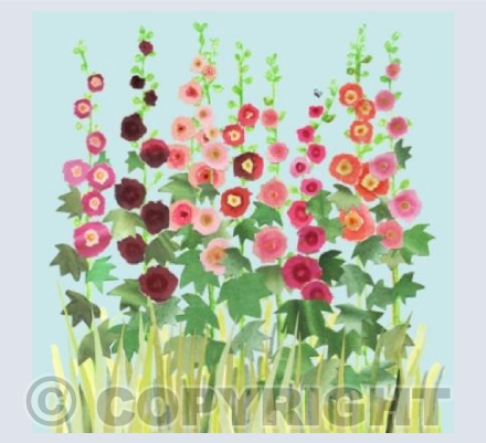 Hollyhocks !