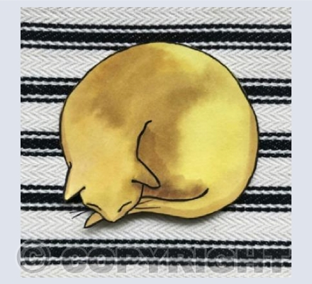 curl up and snooze