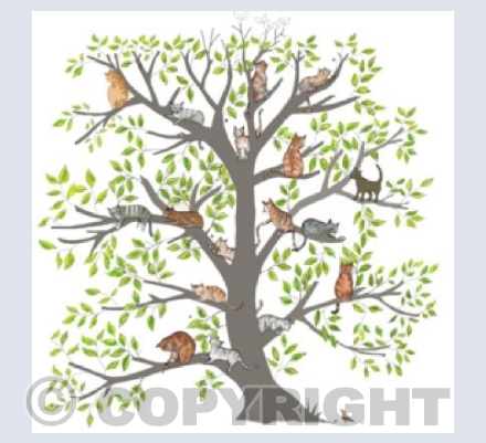 Tree cats !