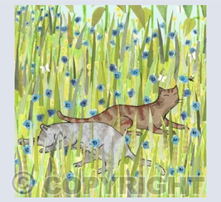 Just lazing about ..