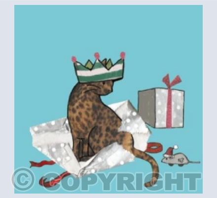 How to wind your cat up .4