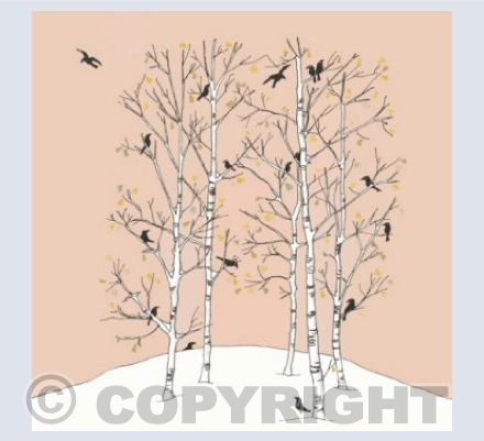 Winter Birches