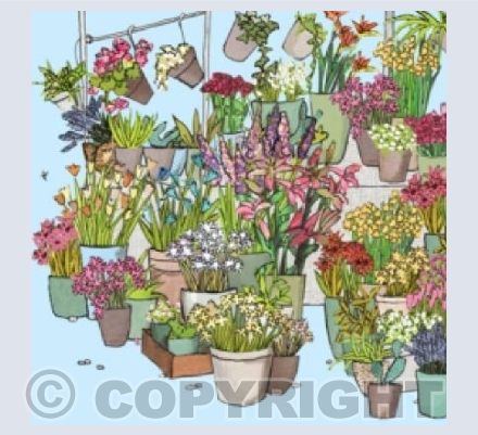 Flowers!