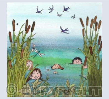 Wild Swimming 