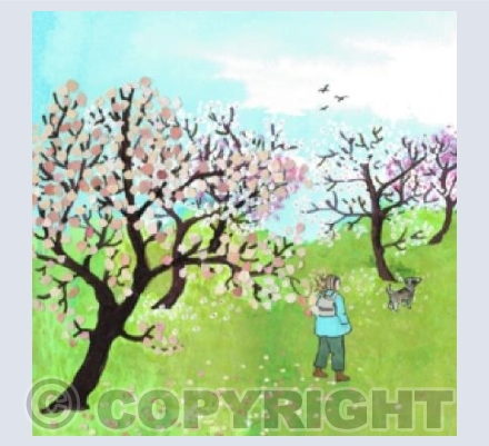 Blossom Wandering