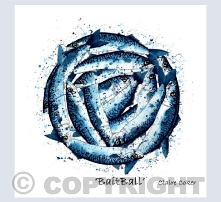 'BaitBall'