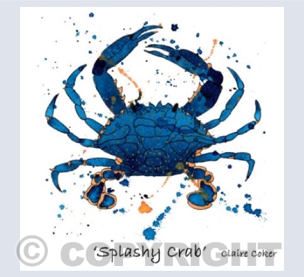 'Splashy Crab'