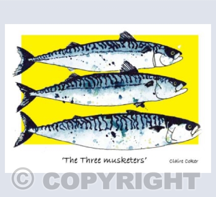 'The Three Musketeers' (Yellow)