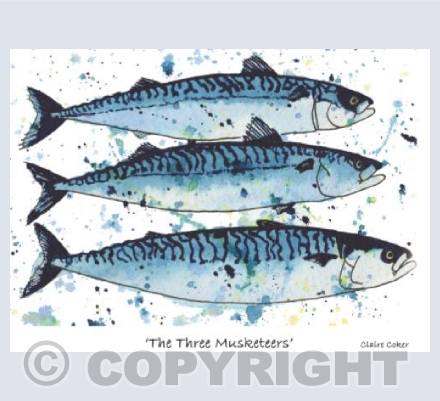 'The Three Musketeers'