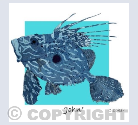 'John' (Blue)