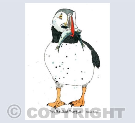 'Pot Bellied Puffin'