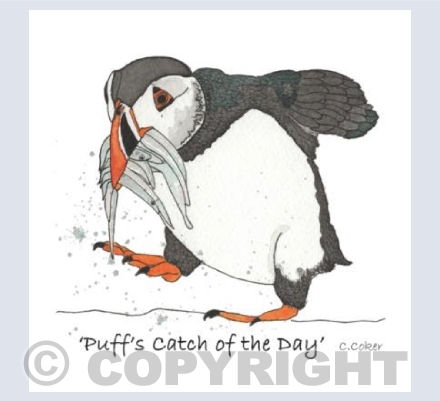 'Puff's Catch of the Day'