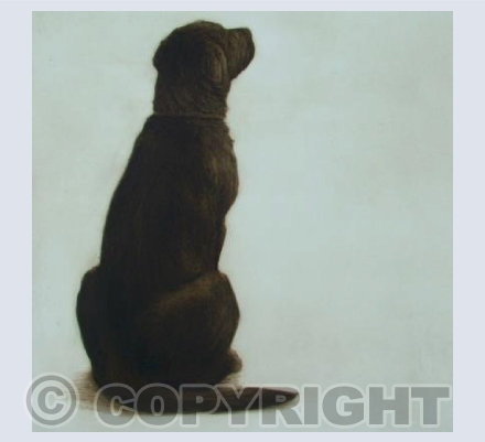 Nellie