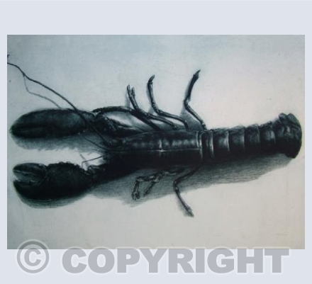lobster