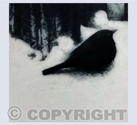 Snowbird I