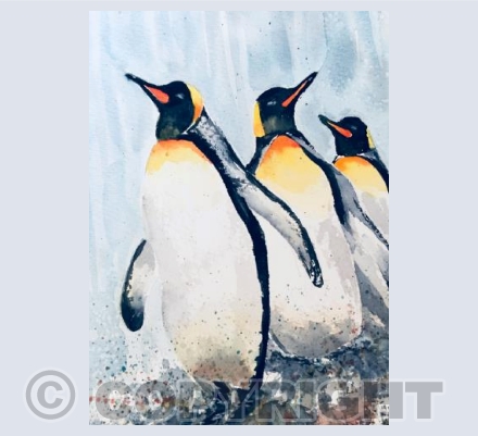 Emperor Penguin