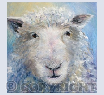 Sheep