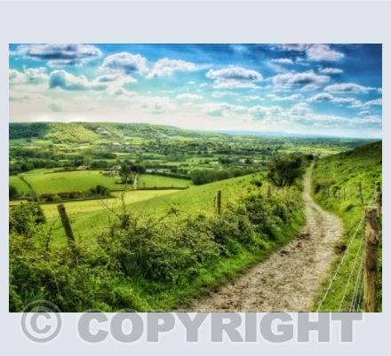 The Track, Hambledon Hill, Dorset.