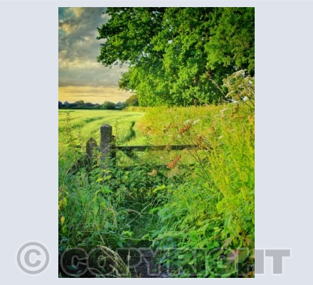Gate on The Trailway, Sturminster Newton.