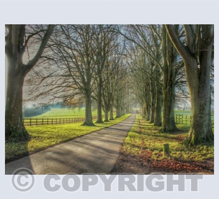 The Avenue, Hinton St Mary, Dorset
