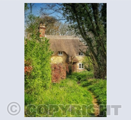 country cottage 4