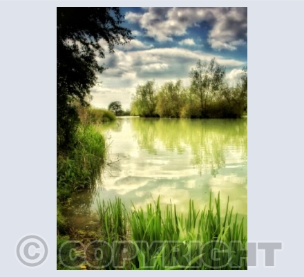 Lake at West Stour