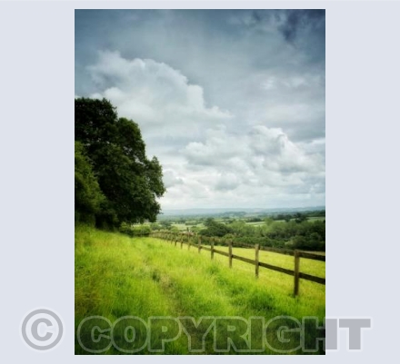 view from Piddles Wood 2