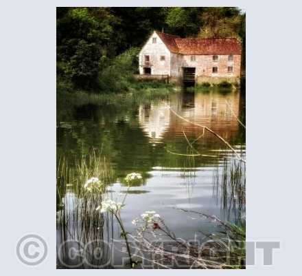 The Millpond, Sturminster Newton, Dorset.